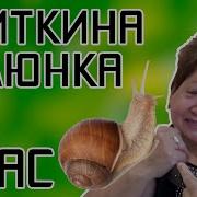 Улиткина Слюнка 1 Час