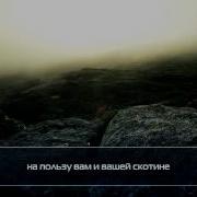 Мухаммад Аль Люхайдан Сура 80 Абаса ᴴᴰ