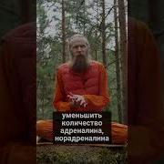 Медитация От Тревоги И Стресса