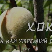 Луна Или Утренний Снег