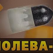 Пуля Полева