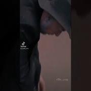 Фразы Из Фильма Пёс