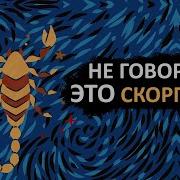 Все Фразы Скорпиона