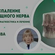 Симптомы И Причины Защемления Седалищного Нерва Седалищный Нерв