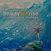 Steven Curtis Chapman See