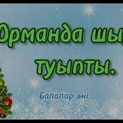 Орманда Шырша Туыпты