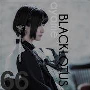 Blacklotus Distorted Frame Ayame