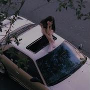 Photosynthesis Phonk