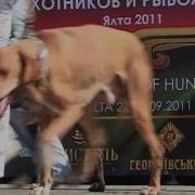 Байки Охотников И Рыбаков
