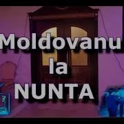 Moldovanu La Nuntă Tag Unui Prieten