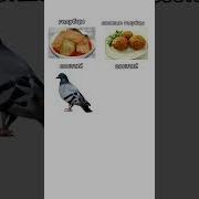 Из Чего Делают Голубцы Меме