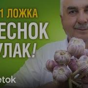 Все По Чесноку