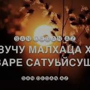 Лариса Иризиева Дог Вы