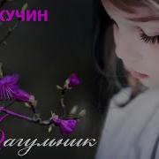 Иван Кучин Ринктон Багульник