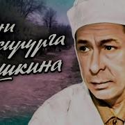 Будни Доктора Мишкина