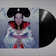 Bjork Unravel