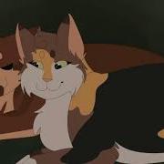 Коты Воители Шаг За Шагом