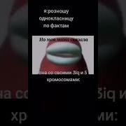 Прости Конечно Моя Мама Хотела Тебя Сжечь