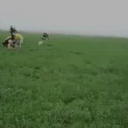 Драка Толпа На Толпу Жесть