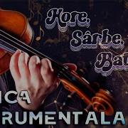 Instrumental Moldoveneasca