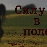 Силуэт В Поле Гача Страшилка