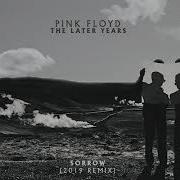 Pink Floyd Sorrow 2019 Remix