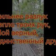 Осенние Листья Помнишь