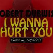 I Wanna Hurt You Feat Shaggy