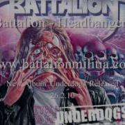 Battalion Metal Cover