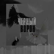 Черный Ворон Аслан Улпанов