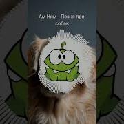 Ам Ням Я Люблю Собак