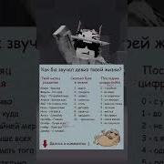 Мемная Музыка Конец