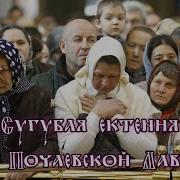 А Пушкарев Сугубая Екетинья