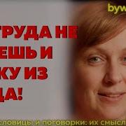 Без Труда Не Выловишь И Рыбку Из Пруда