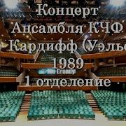 Концерт Цыфе