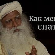 Как Меньше Спать Садхгуру