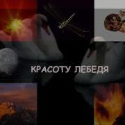 Из Чего Сделана Женщина Видео Притча От Б К Шанс