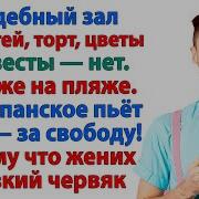 Похожа На Любовь