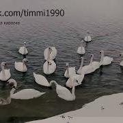 Фонограмма Песни Кубалар