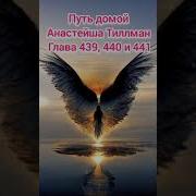 Путь Домой Голова 439 440 441