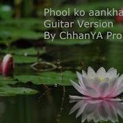 Phool Ko Aankha Ma Phoolai Sansara Beautiful Guitar Version