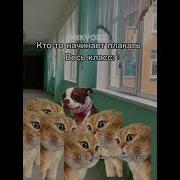 Что Произошло Мем