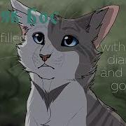 Коты Воители Клип Любимка Искра Коршун