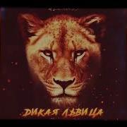 Alex Rus Дикая Львица New Tiger Sound Trending Video On Tiktok Tiktok Tiger Meow Music Video
