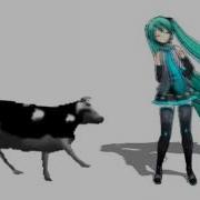 Hatsune Miku Polish Dancing Cow