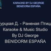 Песня Раненая Птица Караоке