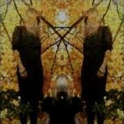 Austra Beat And The Pulse Still Going Rmx