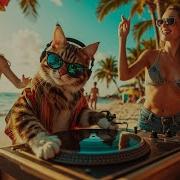 Душевных Песен Шансона 2025 Клипы Для Души Топ Music Videos