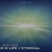 Sonic Species Eternal ᴴᴰ