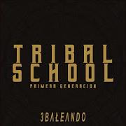El Mariachi Tribal